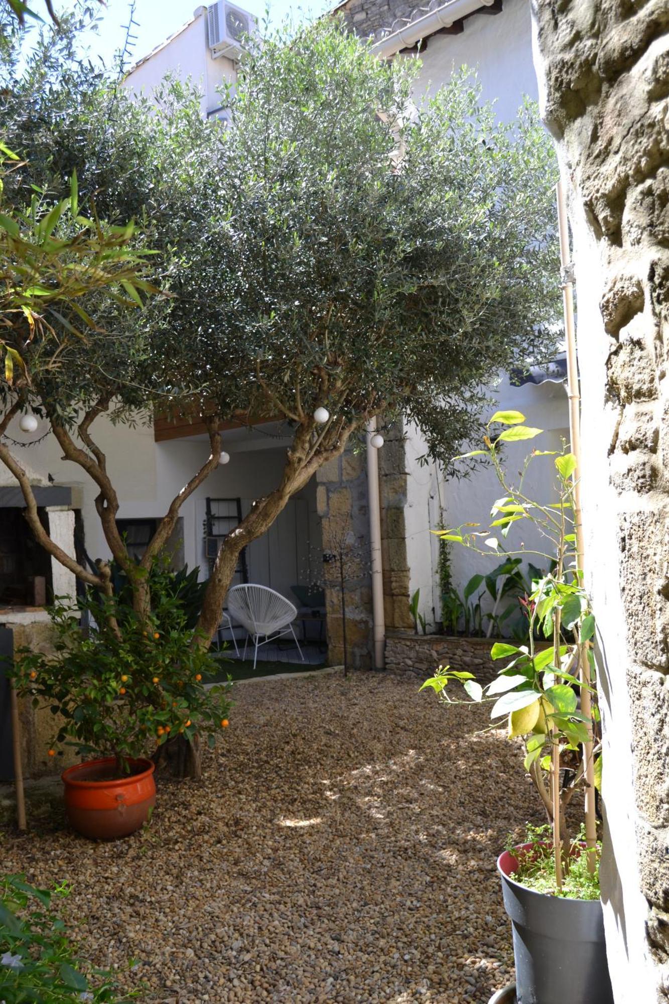 La Cachette Bed & Breakfast Aigues-Vives  Екстериор снимка